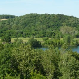 Ariel view of the field