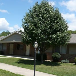 Image of a street light and tree with house